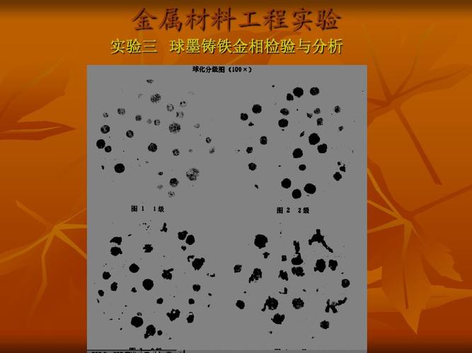 金属材料工程实验三球墨铸铁金相检验ppt